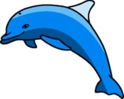Best Dolphin Clipart #7803 - Clipartion.com