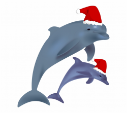 Common Bottlenose Clip - Dolphin With Christmas Hat Free PNG ...