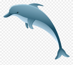 Collection Of Dolphin Transparent Background High Clipart ...