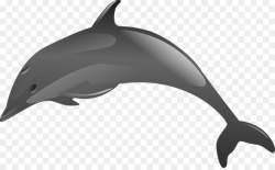Free Colors Clipart dolphin, Download Free Clip Art on Owips.com
