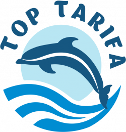 TOP TARIFA - Whale watching in a zodiac speed boat