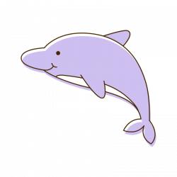 Tucuxi Common bottlenose dolphin Cartoon Porpoise Clip art - dolphin ...
