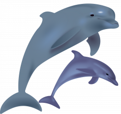 Clipart - dolphins, delfinai, animals