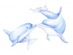 Watercolor Hand Painted Sea Creature-Dolphins Clipart, Mom ...