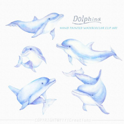 Sea Creature-Dolphins Clip art, Hand Painted Animal ...