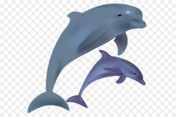 Dolphin Cartoon clipart - Dolphin, Graphics, transparent ...