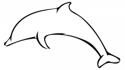 dolphin outline savvy dolphin skillshare projects clipart for ...