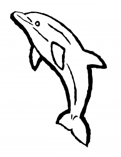 Dolphin Outline Clip Art | Free Dolphin Coloring Pages ...
