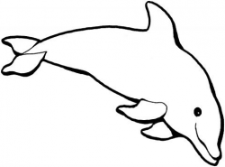 Dolphin Outline Clip Art | Dolphin outline | dolphin ...
