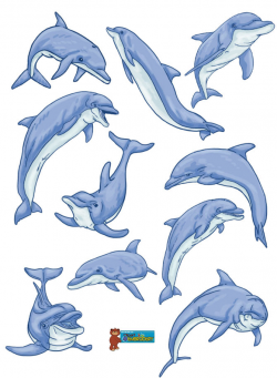 Dolphins clipart image - Clip Art Library