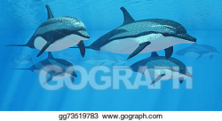 Stock Illustrations - Striped dolphin pod. Stock Clipart ...