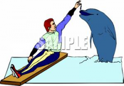 Clip Art Image: A Dolphin Trainer Feeding a Fish To a Dolphin