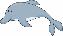 Let's Get Fancy in First: Flippy Dolphin