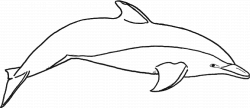 Dolphin Coloring Pages - Dr. Odd