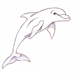 Hand Drawing <3 <3 | Dolphin in 2019 | Dolphin drawing ...