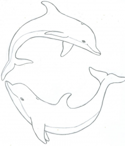 Free Dolphin Drawings, Download Free Clip Art, Free Clip Art ...