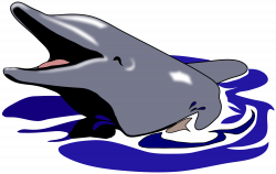 File:Dolphin by cactus cowboy.svg - Wikimedia Commons