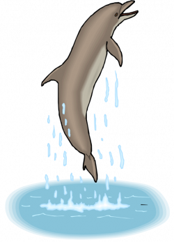 Free Dolphin Clipart