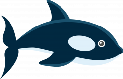 Whale Marine biology Adobe Illustrator - Cartoon whale design 4343 ...