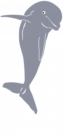 Clipart - Dolphin Jumping, Front