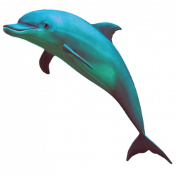 dolphin yunus balık cute kawaii ftestickers sticker sti...