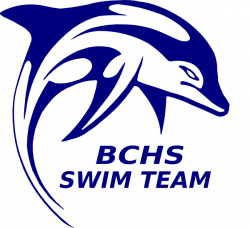 Bchs Swim Team Dolphin Clip Art at Clker.com - vector clip art ...