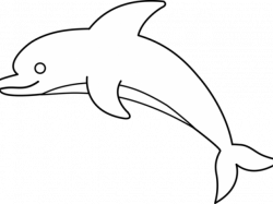 Dolphin Drawing Pictures Free Download Clip Art - carwad.net