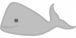 Free Image on Pixabay - Whale, Sea, Animal, Water, Ocean | Pinterest