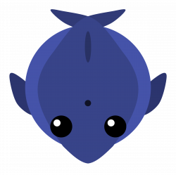 My Verison of the Blue Whale : mopeio
