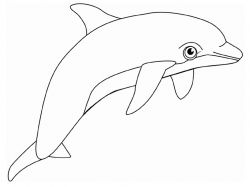 Free Fancy Dolphin Cliparts, Download Free Clip Art, Free ...
