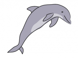 Free Free Dolphin Clipart, Download Free Clip Art, Free Clip ...