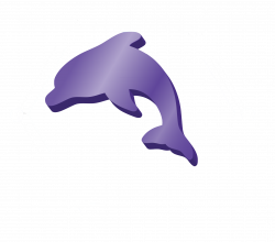 Purple Dolphin – Digital Agency