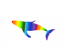 Rainbow Humpback Whale Silhouette by Balaenoptera on DeviantArt