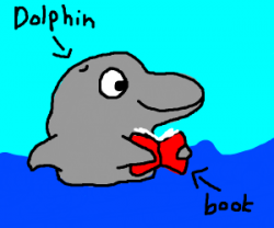 Dolphin Reading - Drawception