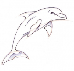 dolphin clipart | Tattooed in 2019 | Dolphins tattoo ...