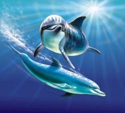 Dolphin Clipart Real - Clip Art Library