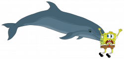 A bottlenose dolphin sponging — Weasyl