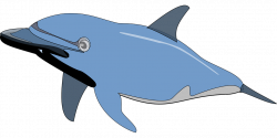 Dolphin Swimming Cliparts#4661525 - Shop of Clipart Library