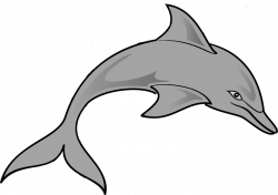 Dolphin Clip Art Outline | Clipart Panda - Free Clipart Images