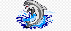 Whale Cartoon clipart - Dolphin, School, Font, transparent ...