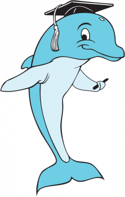 dolphin in school clipart - Clipground