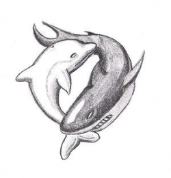 Dolphin/ Shark yin yang tattoo | Tattoo Ideas | Shark ...