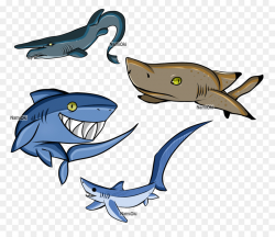 Cartoon Shark clipart - Dolphin, Whales, Fish, transparent ...