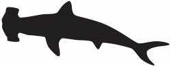 Hammerhead Shark Silhouette PNG Clip Art Image | Gallery ...