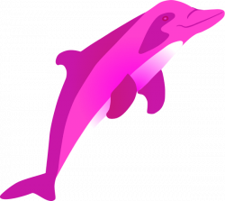 Bottlenose Dolphin Clipart Small