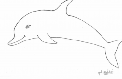 Free Dolphin Drawin Easy, Download Free Clip Art, Free Clip ...