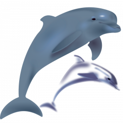 Clipart Dolphins - Cliparts.co