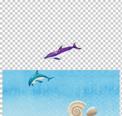 Dolphin Summer PNG, Clipart, Animals, Background, Background ...