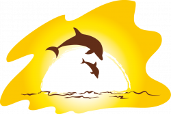 Sunset Beach Clip art - dolphin png download - 952*639 ...