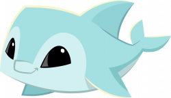 Image - Blue pet dolphin.png | Animal Jam Wiki | FANDOM powered by Wikia